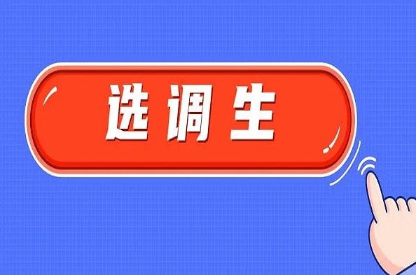 国图公考：选调生考试考什么科目?